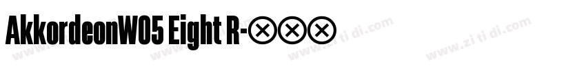 AkkordeonW05 Eight R字体转换